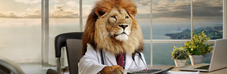 Declaração de honorários médicos: como prestar contas ao leão?